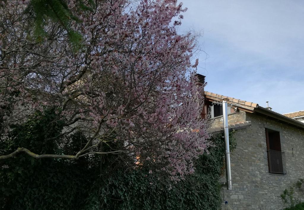 Villa O Zierzo Jaca Esterno foto